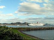 Photo 11: Basseterre Harbour