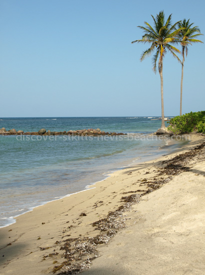 Photo of Nisbet Beach in Nevis.