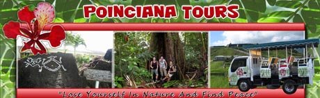 St Kitts tours by Poinciana Tours header image