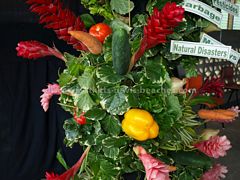 Flower arrangement display